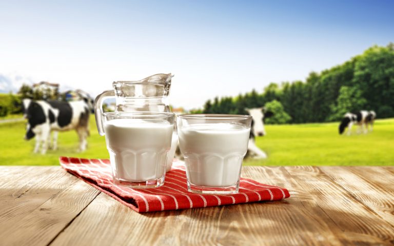 milk